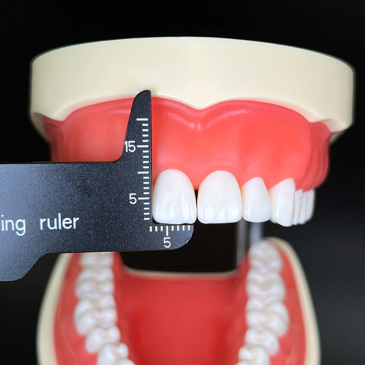 Dental Photography Accessories